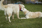 foto3/