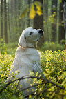 foto4/