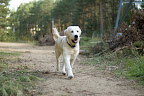 foto4/
