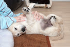 foto9/