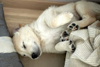 foto13/