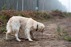 foto11/