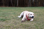foto4/