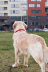 foto1/