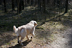 foto3/