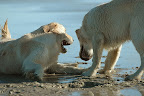 foto9/