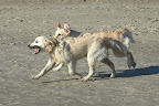foto31/
