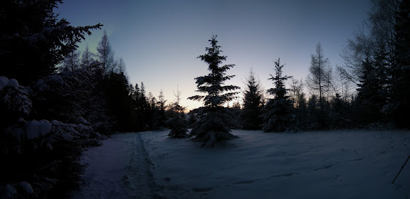 http://lh6.ggpht.com/_ZOsYp3vFMdY/S-hcO75CYhI/AAAAAAAAFjg/RJc2UBWLZhQ/s576/DSCN2758.JPG