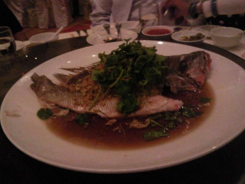 [20100306212957[3].jpg]