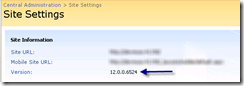 Dec2009_SharePointLevel