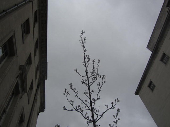 IMG_0666 IMG_0666