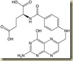 folic acid structure