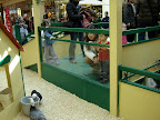 DSC06390.JPG