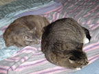DSC03054.JPG