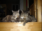 DSC03154.JPG