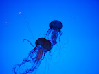 DSC01976.JPG