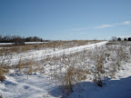 DSC03694.jpg
