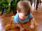 Tiens, toi le lion! / Take that, mister lion!