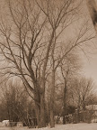DSC01341.JPG