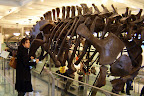 Malheureusement, on ne pouvait pas faire un tour sur son dos. / Sadly, we couldn't ride that thing.
