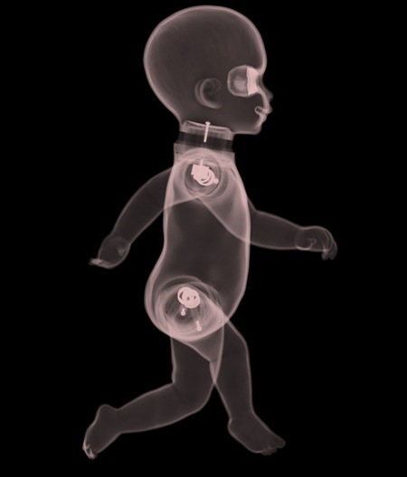 nick veasey 4 nick veasey 4