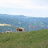 STA_0541.JPG