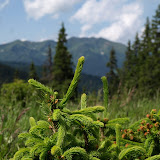 P6277578.JPG