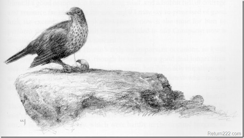 Alan Lee (51) Alan Lee (51)