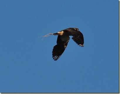 DSC_0112 DSC_0112