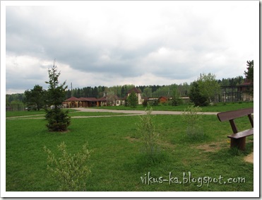 IMG_0168 IMG_0168