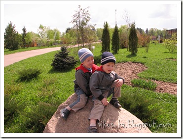 IMG_0220 IMG_0220