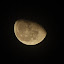 DSC_1495-1.JPG