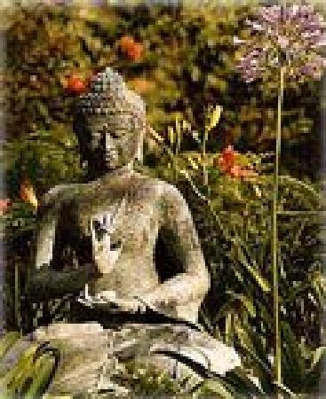 [zen-like-serenity[3].jpg]