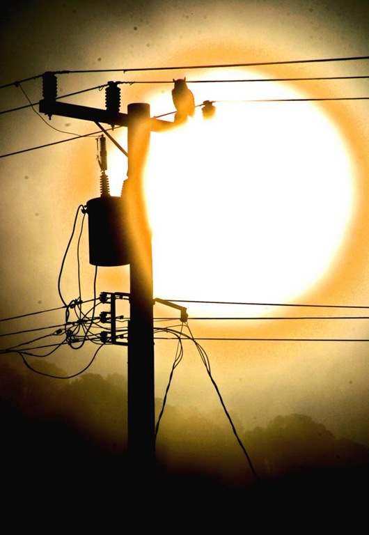 [Staring at the Sun[4].jpg]
