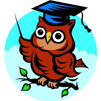 [Wise Owl[1].png]