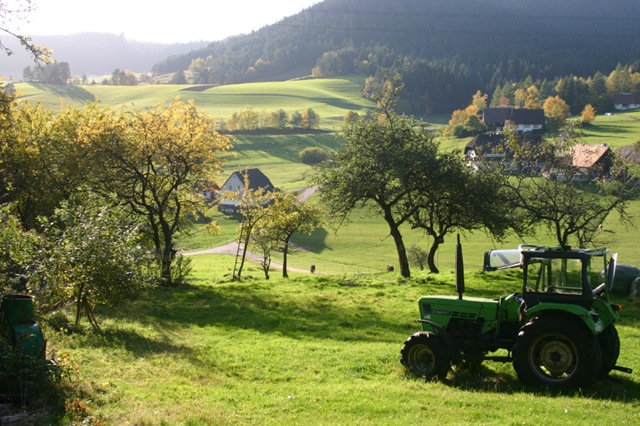 [Farm House[2].jpg]