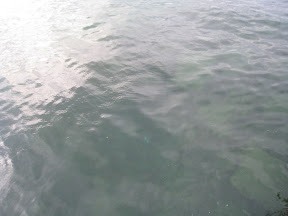 &ndash; 08-Jul-2008