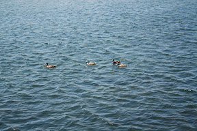 &ndash; 18-Aug-2008