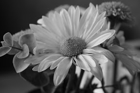  &ndash; 19-Aug-2008