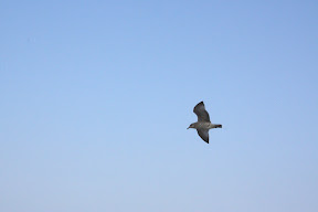  &ndash; 20-Aug-2008