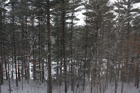 – 24-Dec-2008 – 24-Dec-2008