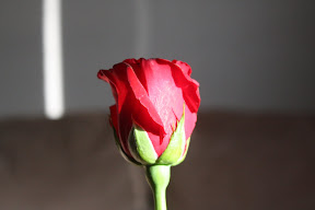  &ndash; 15-Feb-2009