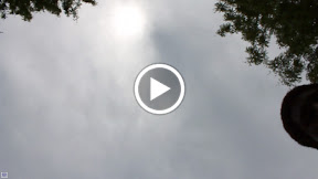– 11-Jun-2009 – 11-Jun-2009