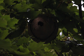  &ndash; 07-Sep-2009