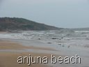 [anjuna beach by srikant[3].jpg]