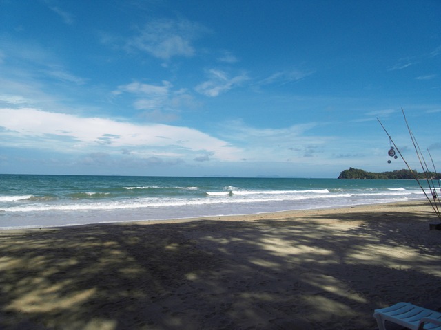 [SDC112403.jpg]