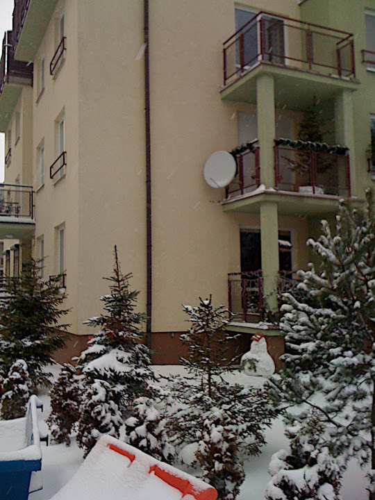 IMG_0411.jpg