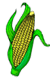 [corn_animated1[7].gif]