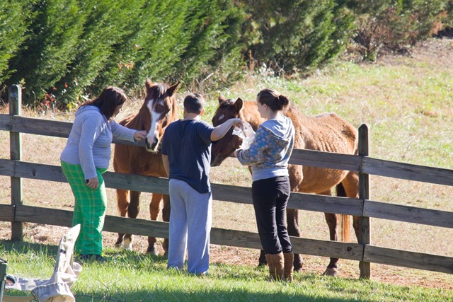 [feeding horses[3].jpg]