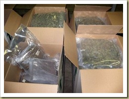 AFP/File – Part of a tonne of cannabis seized by Channel tunnel customs officers at Calais in May